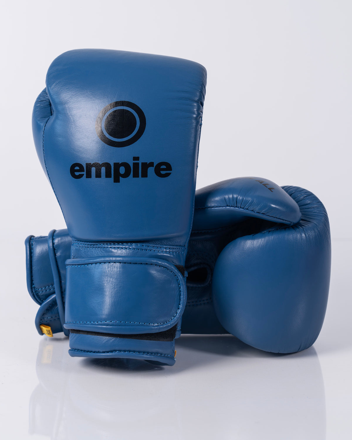 Empire Mini Maximus I Youth Boxing Gloves - 6oz - Blue