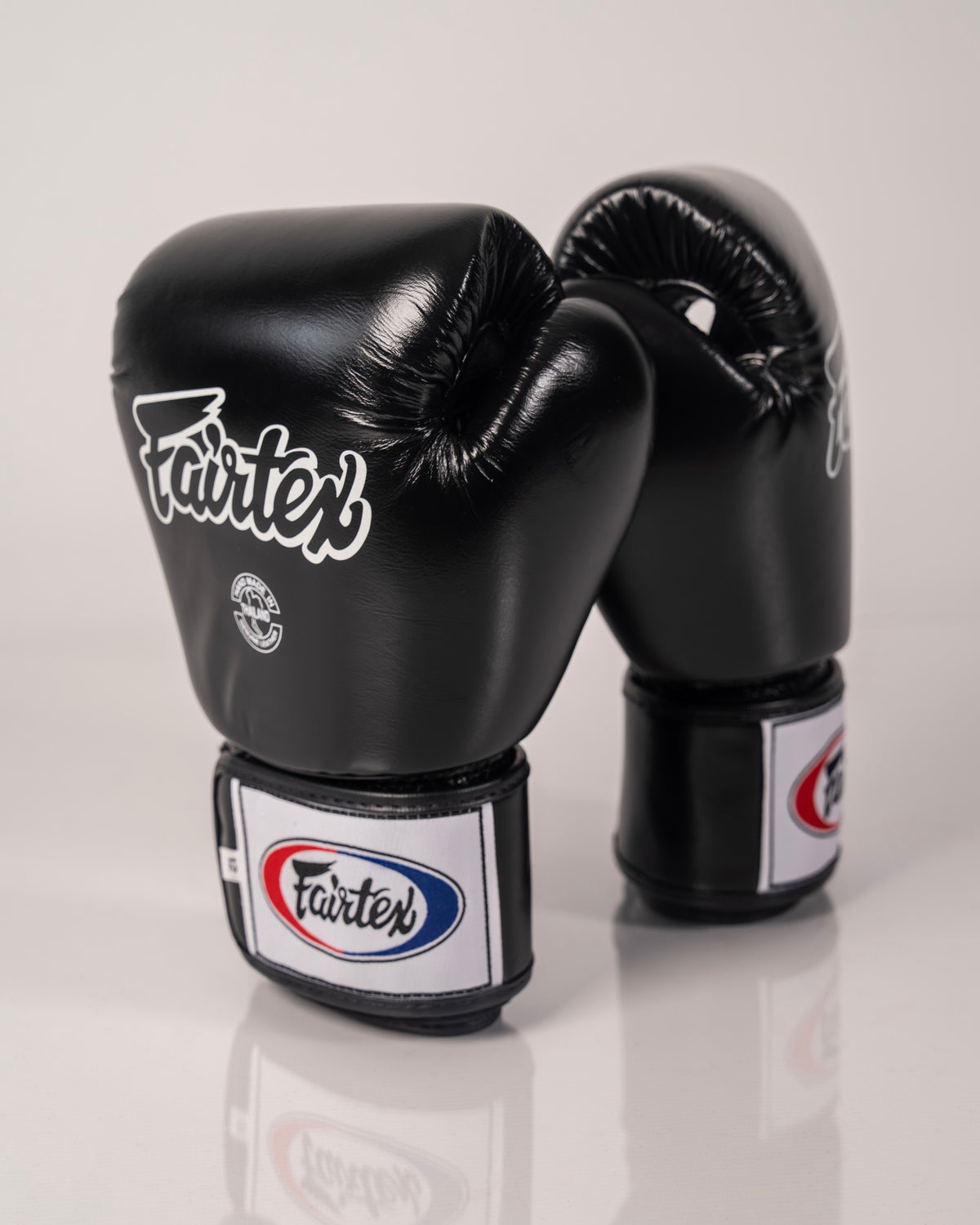 Fairtex BGV1 - Universal Training Glove - Black