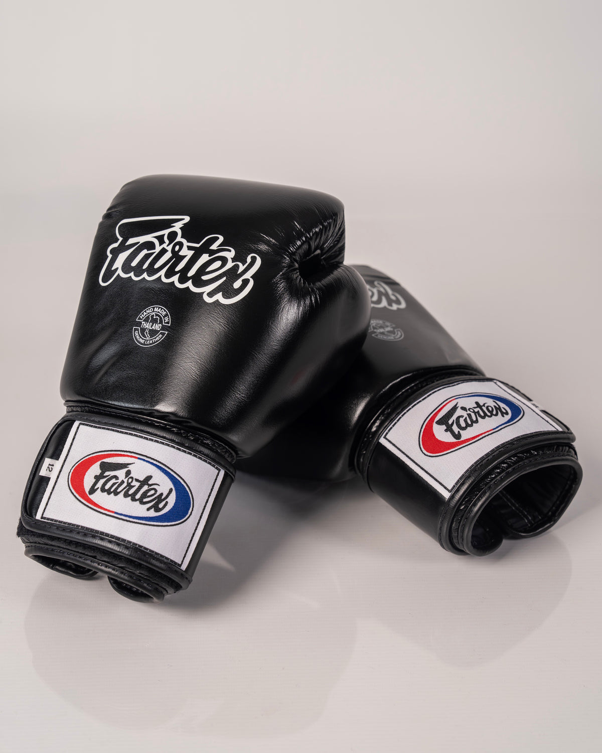 Fairtex BGV1 - Universal Training Glove - Black