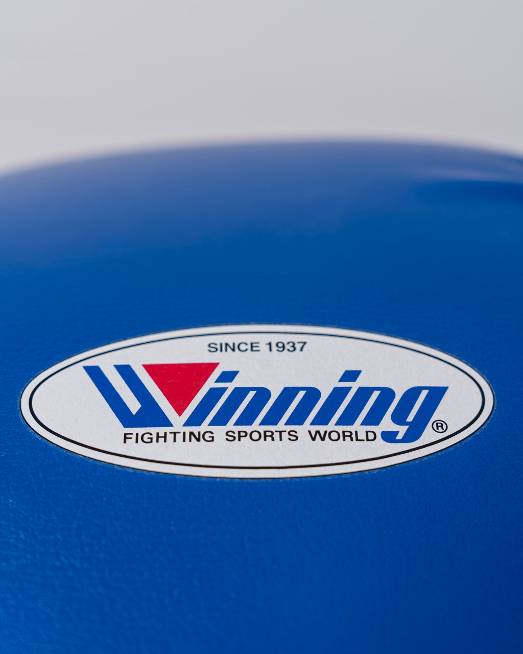 Winning - JABF Velcro Boxing Gloves - Blue - 14oz
